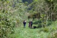 /album/fotogaleria/finca-5-jpg/